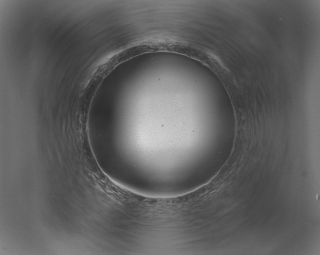 X0000051901016200507011501