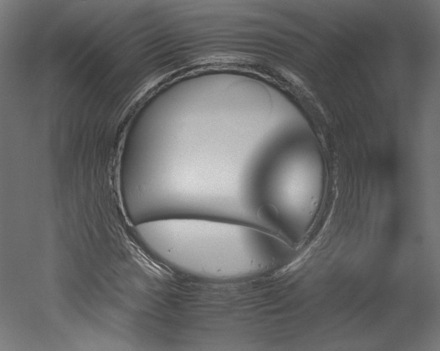 X0000051901017200507011501