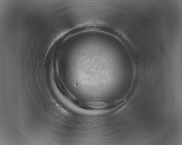 X0000051901018200507011501