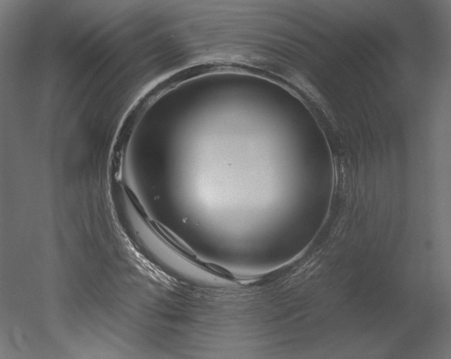 X0000051901020200507011502