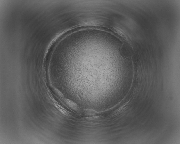 X0000051901027200507011502