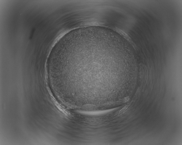 X0000051901031200507011502