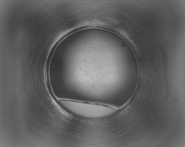 X0000051901032200507011502