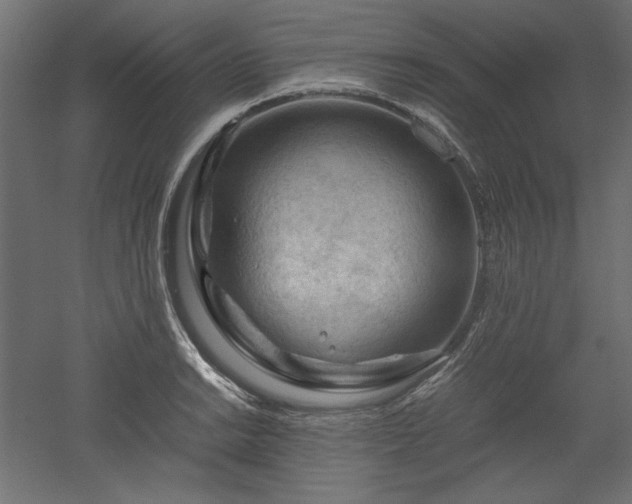 X0000051901038200507011502