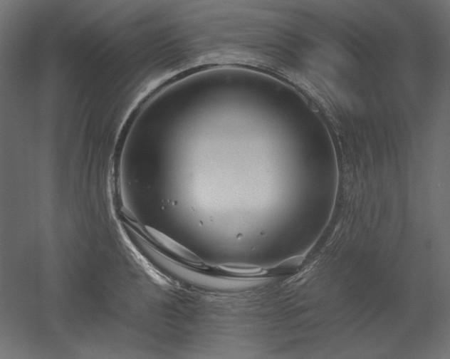 X0000051901040200507011502