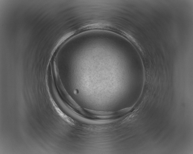 X0000051901042200507011502