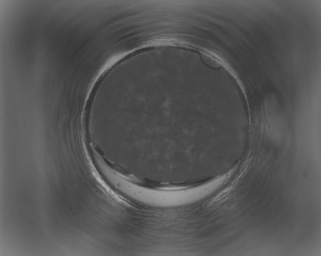 X0000051901045200507011502