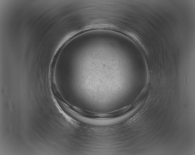 X0000051901046200507011502