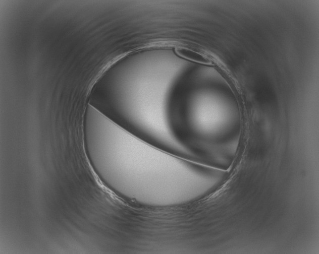 X0000051901049200507011502