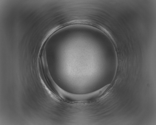 X0000051901050200507011502