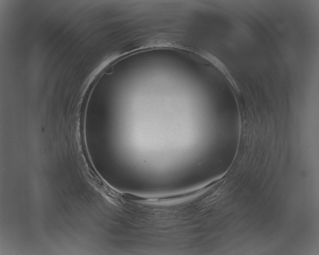 X0000051901051200507011502