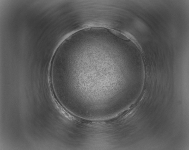 X0000051901052200507011502