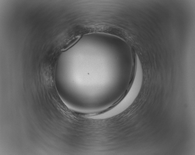 X0000051901058200507011501