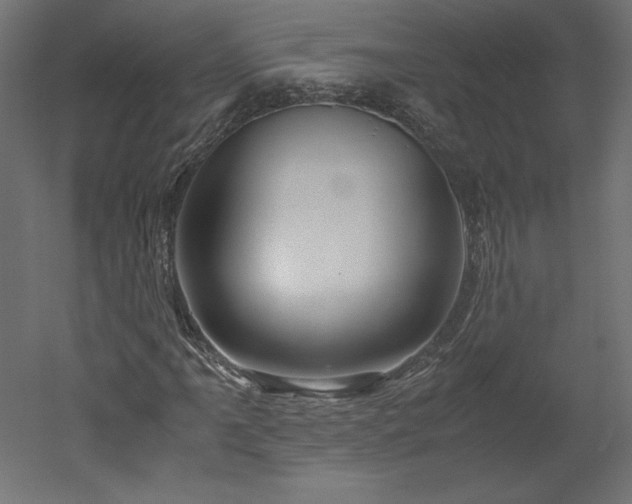 X0000051901061200507011501