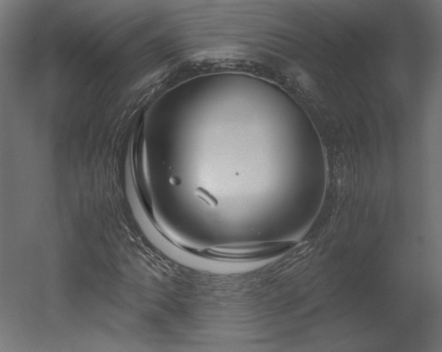 X0000051901062200507011501