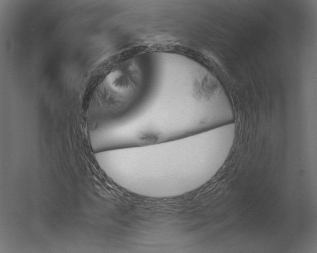 X0000051901063200507011501