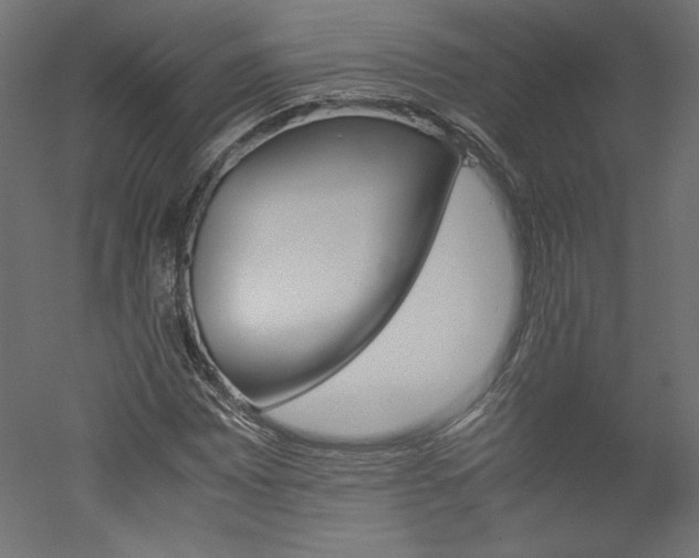 X0000051901065200507011501