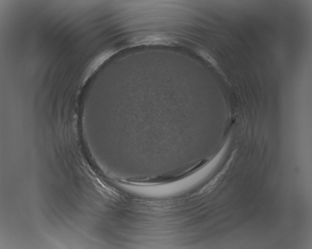 X0000051901066200507011501