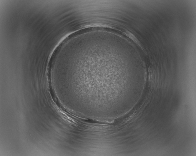 X0000051901068200507011501
