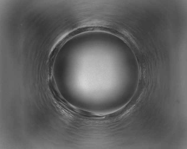 X0000051901069200507011501