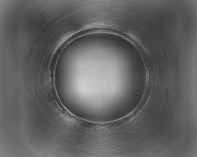 X0000051901070200507011501
