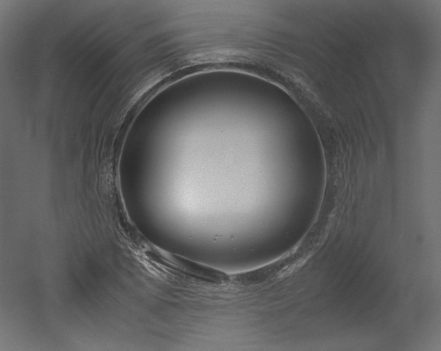 X0000051901073200507011501