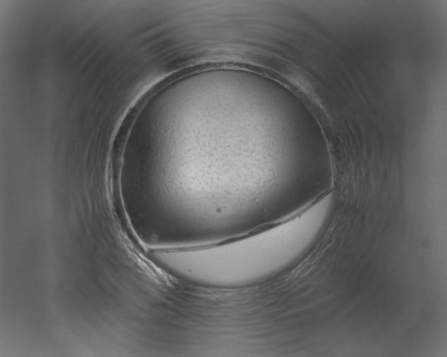 X0000051901076200507011501