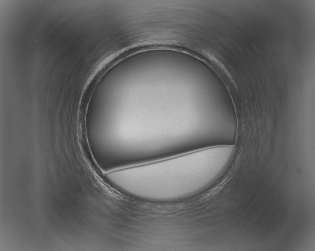 X0000051901077200507011501