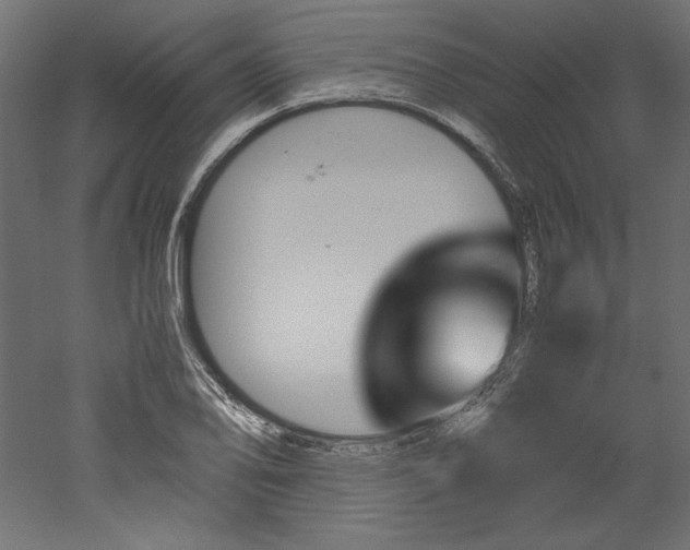 X0000051901078200507011501