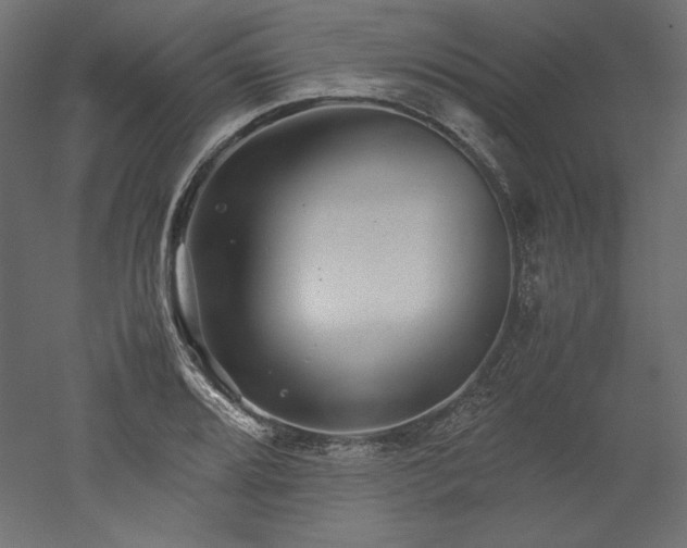 X0000051901080200507011501