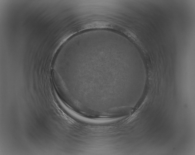X0000051901081200507011501