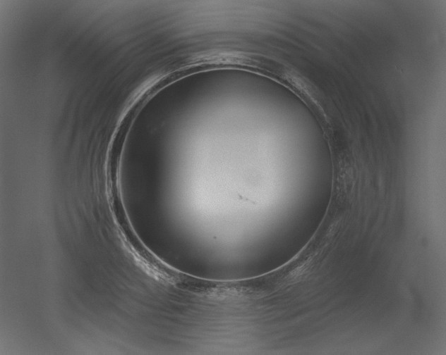 X0000051901082200507011501