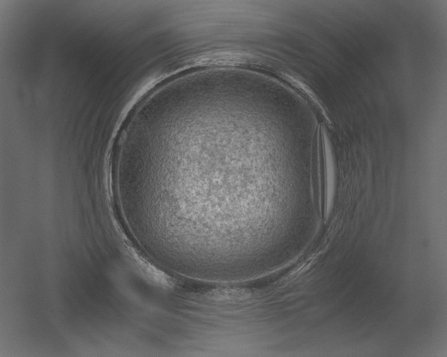 X0000051901083200507011501