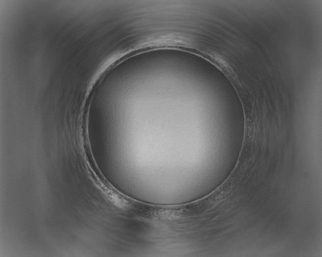 X0000051901086200507011501