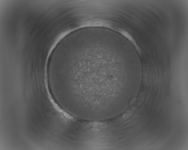 X0000051901088200507011501