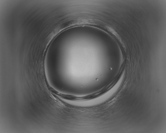 X0000051901089200507011501