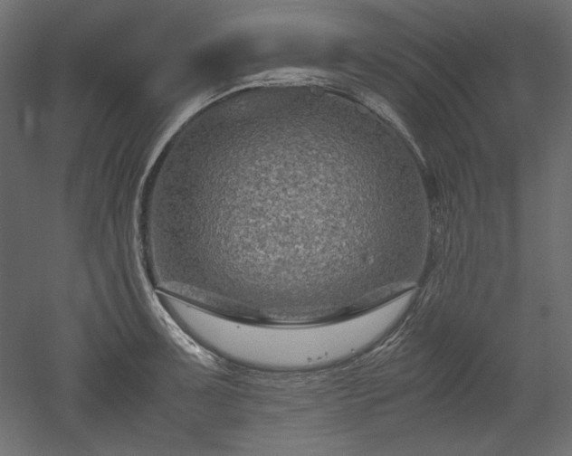 X0000051901091200507011501