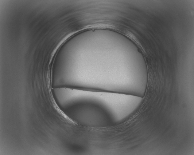 X0000051901092200507011501