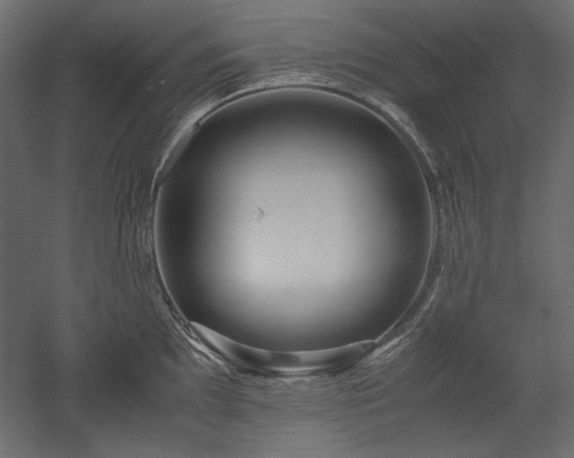 X0000051901097200507011501