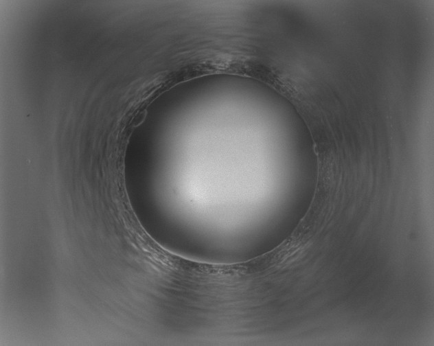 X0000051901105200507011500