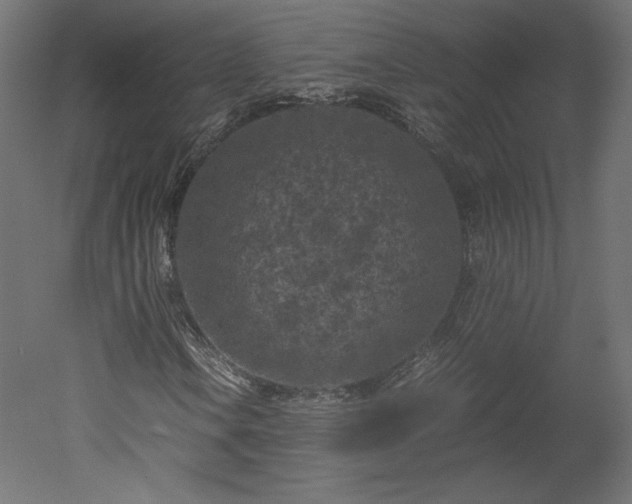 X0000051901106200507011500