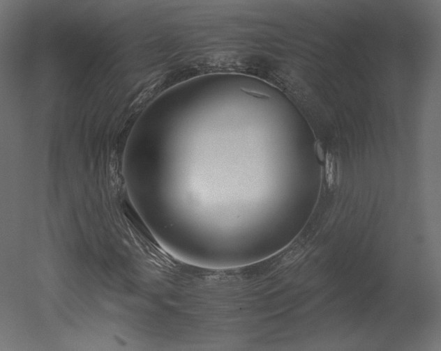 X0000051901107200507011500