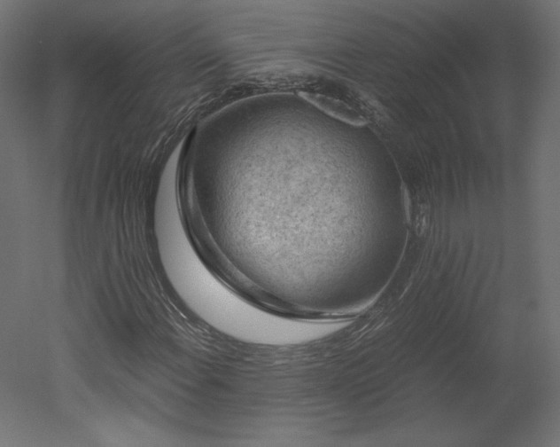 X0000051901108200507011500
