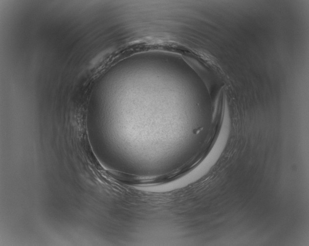X0000051901110200507011500