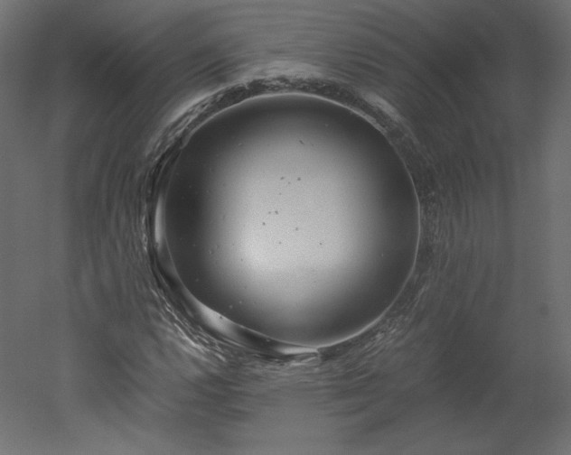X0000051901112200507011500