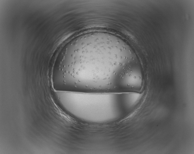 X0000051901113200507011500