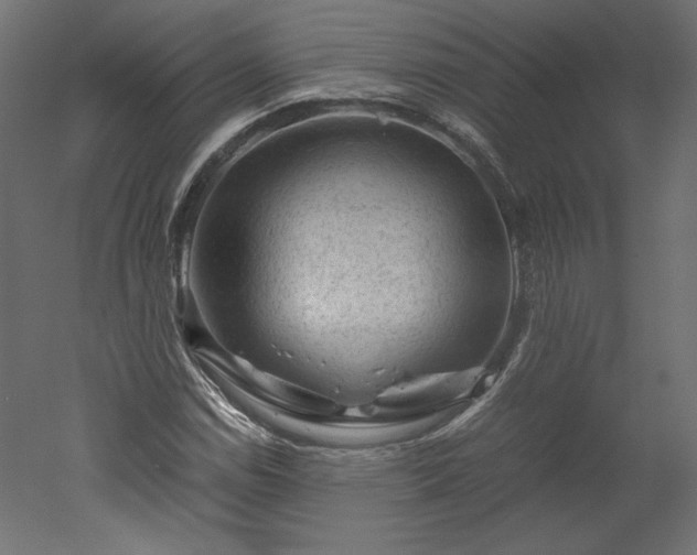 X0000051901114200507011500