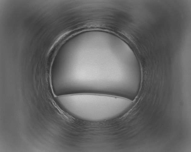 X0000051901115200507011500