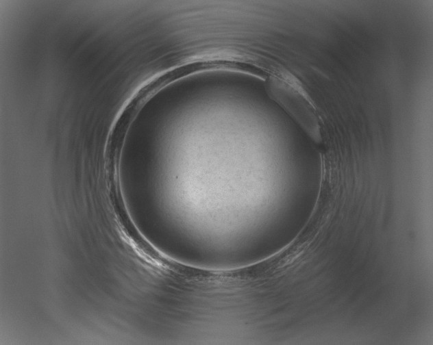 X0000051901116200507011500