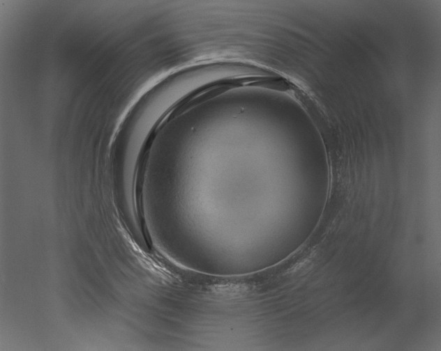 X0000051901118200507011500